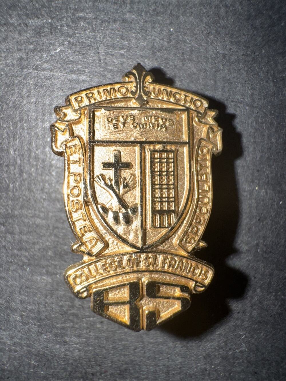 Vintage College Of St Francis BS Graduate/Alumni Lapel Pin 10K Gold Plated